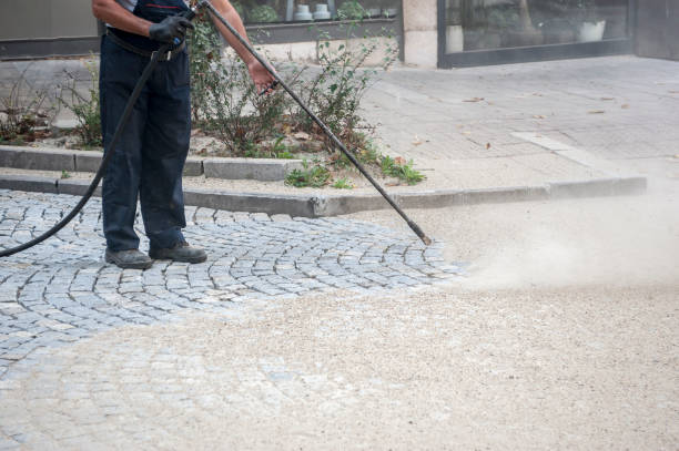 Best Driveway Pressure Washing  in Loma Ri, CA